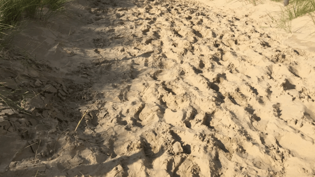 Aufgewühlter Sandboden