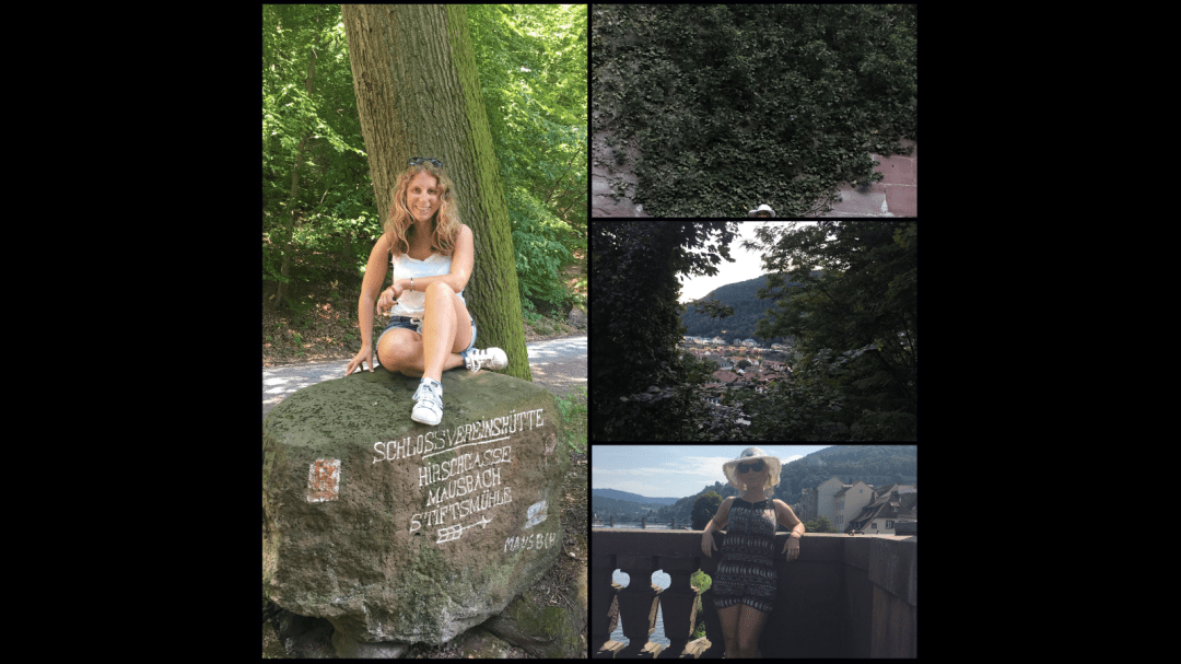 Lizzi auf einem Stein und mehr