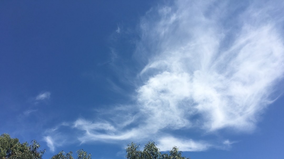 111 Fragen an Lizzi - Wolken