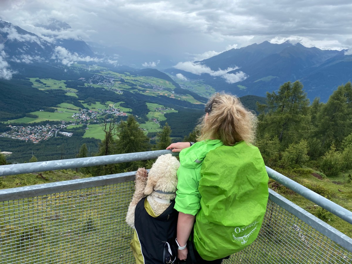 20 Minuten blind am Führbügel – Blindenführhund und Sehrest