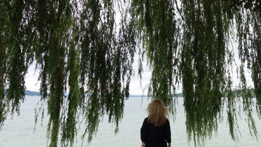 Lizzi steht mit dem Rücken zum Betrachter unter einer Weide vor einem See.